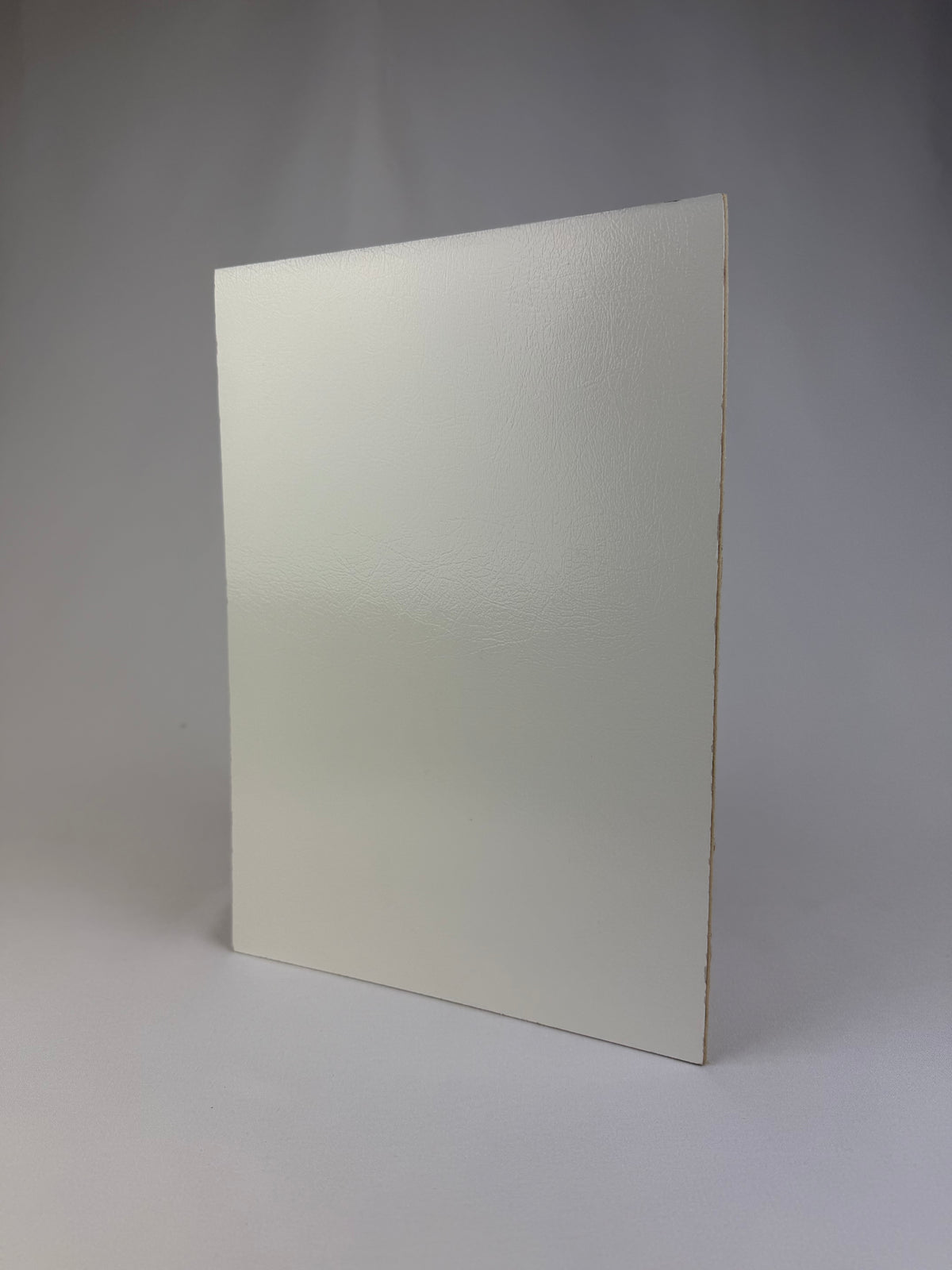 Plywood 1/s White Poly Ridge (PG-11) 2440x1220x2.7mm